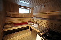 Wellness Bio-Dampfsauna